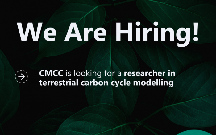 CONCERTO and CMCC are looking for a researcher in Ecosystem processes and Remote Sensing