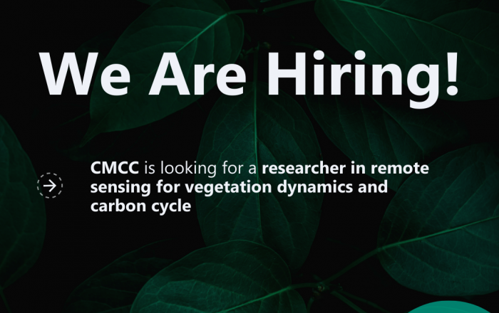 CONCERTO and CMCC are looking for a researchers in Carbon Cycle Modelling and Ecosystem Dynamics