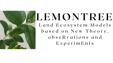 Lemon Tree logo