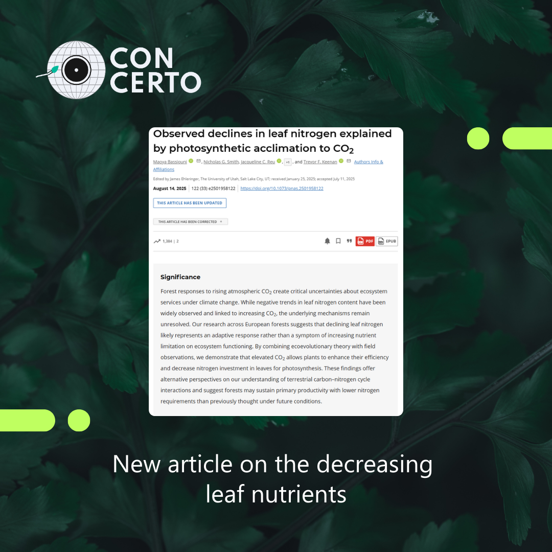 New study reveals adaptive declines in leaf nitrogen under rising CO₂
