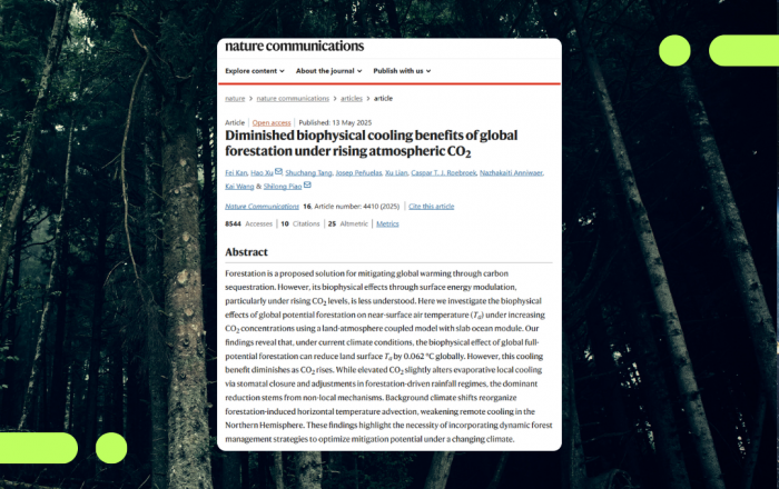 New research reveals declining cooling benefits of global forestation under rising CO₂