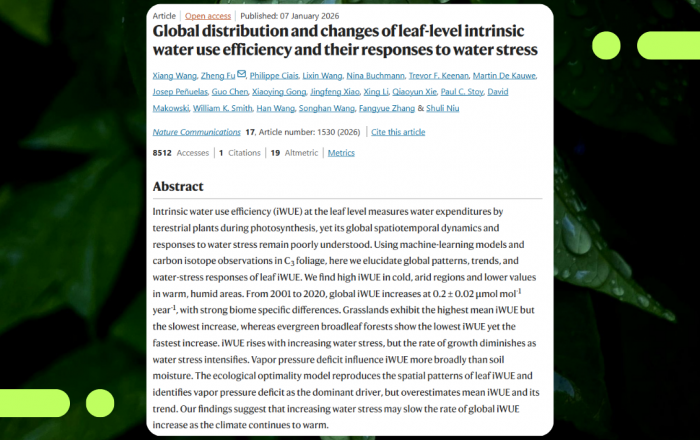 New study reveals how plants worldwide respond to increasing water stress