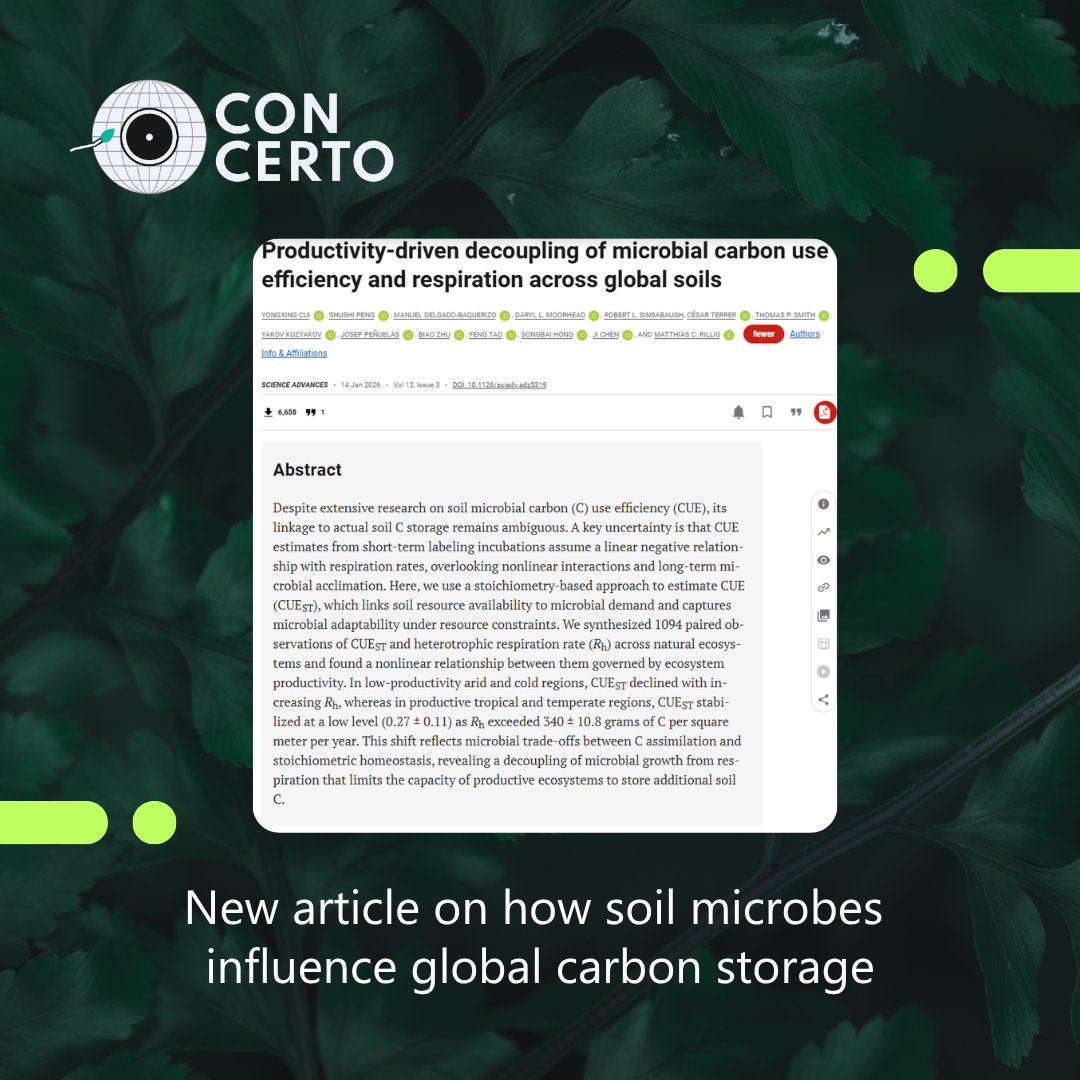 New publication explores how soil microbes influence global carbon storage