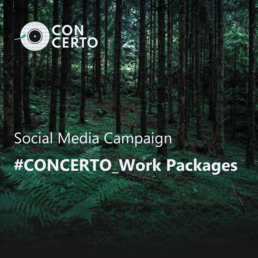 CONCERTO concludes its first social media campaign: CONCERTO's Work Packages