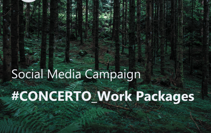 CONCERTO concludes its first social media campaign: CONCERTO's Work Packages