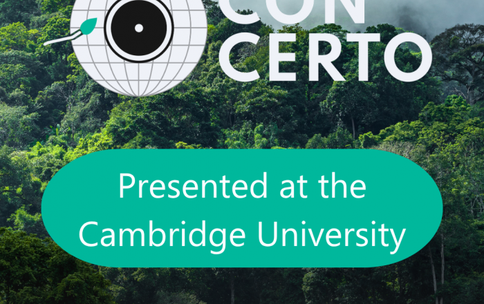 CONCERTO research presented at Cambridge University seminar